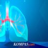 Diafragma Sekat yang Membatasi dan Menopang Kehidupan