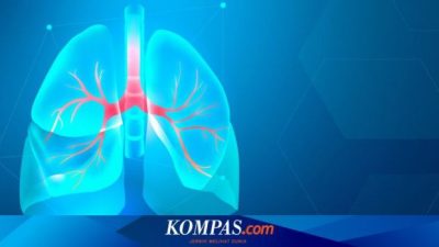 Diafragma Sekat yang Membatasi dan Menopang Kehidupan