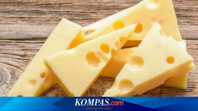 Negara yang terkenal akan produksi kejunya adalah