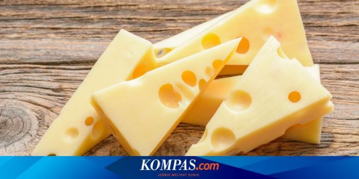 Negara yang terkenal akan produksi kejunya adalah