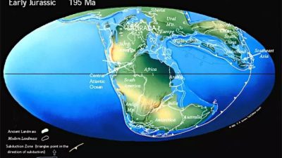 Dinosaurus Pertama Kali Muncul pada Zaman Trias
