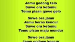 Menelusuri Jejak Lagu Suwe Ora Jamu Asal Daerah