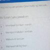 Memahami Tujuan Pembuatan Kronologis Apa yang Tidak Termasuk?