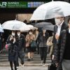 Penurunan Penduduk Jepang Analisis Faktor Penyebab