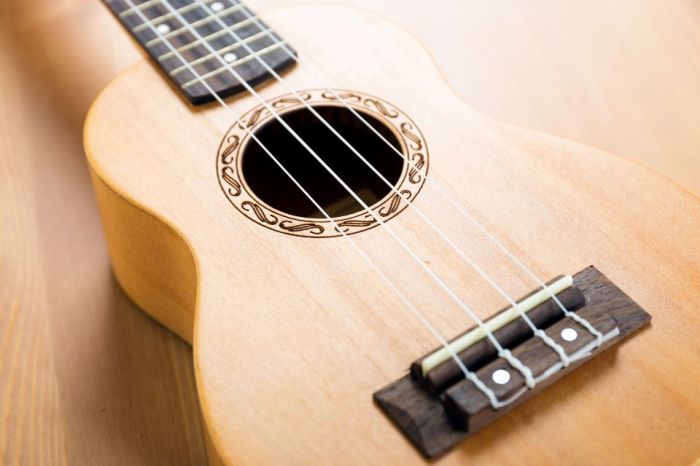 Contoh alat musik chordophone