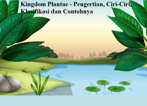 Memahami Ciri-Ciri Kingdom Plantae
