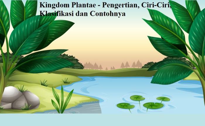 Ciri ciri plantae