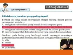 Memahami Volume Udara Residu dalam Paru-Paru