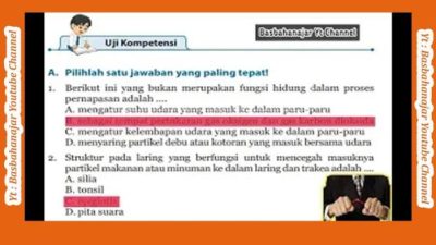 Memahami Volume Udara Residu dalam Paru-Paru