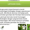Sifat Warna Bunga Merah dan Bentuk Biji Lonjong Contoh Pewarisan Genetik