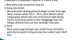 Memahami Bunyi Pantul Gema dan Resonansi di Sekitar Kita