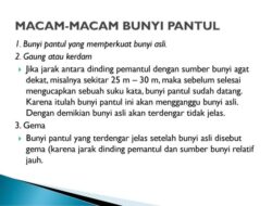 Memahami Bunyi Pantul Gema dan Resonansi di Sekitar Kita