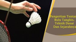 Bola dalam Bulutangkis Definisi, Sejarah, dan Perbedaannya