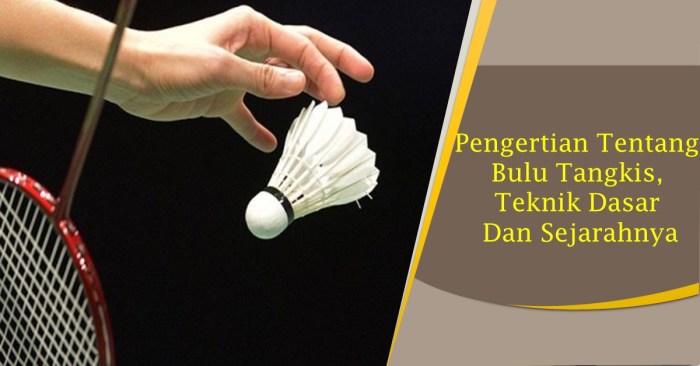 Bola dalam permainan bulutangkis disebut dengan istilah