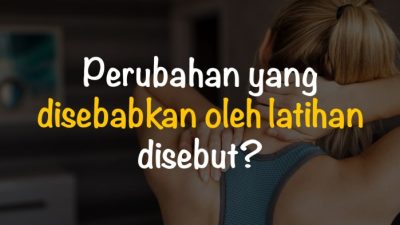 Adaptasi Tubuh Terhadap Latihan Perubahan pada Berbagai Organ