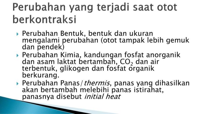 Perubahan yang disebabkan oleh latihan dalam berbagai organ tubuh disebut