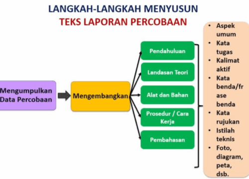 Memahami Teks Hasil Eksperimen Panduan Lengkap