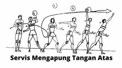 Memahami Servis Melambung Tinggi di Tenis dan Bulu Tangkis