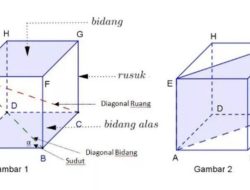 Sifat-Sifat Kubus  Pernyataan Berikut Yang Merupakan Sifat Kubus Adalah
