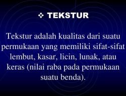 Memahami Nilai Raba Permukaan Sensasi dan Aplikasinya