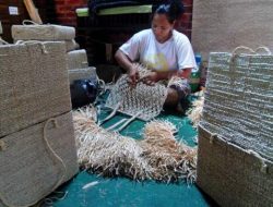 Serat Alam dari Tumbuhan Jenis, Kegunaan, dan Potensinya 11 Serat Alam dari Tumbuhan Jenis, Kegunaan, dan Potensinya