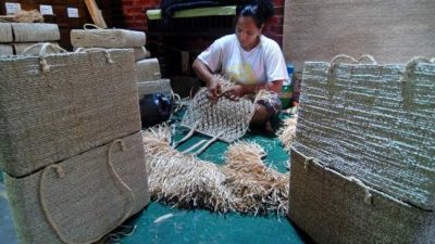 Berikut ini yang termasuk bahan serat alam dari tumbuhan adalah