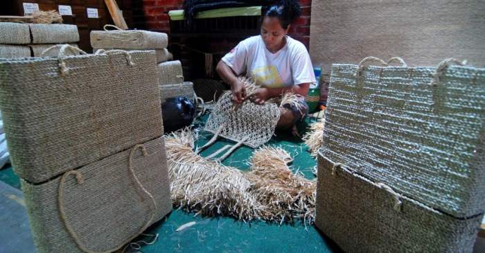 Berikut ini yang termasuk bahan serat alam dari tumbuhan adalah
