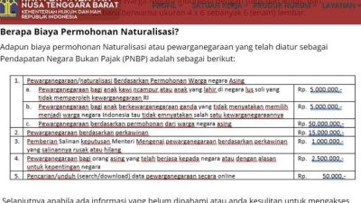 Syarat Naturalisasi Istimewa Adalah Panduan Lengkap