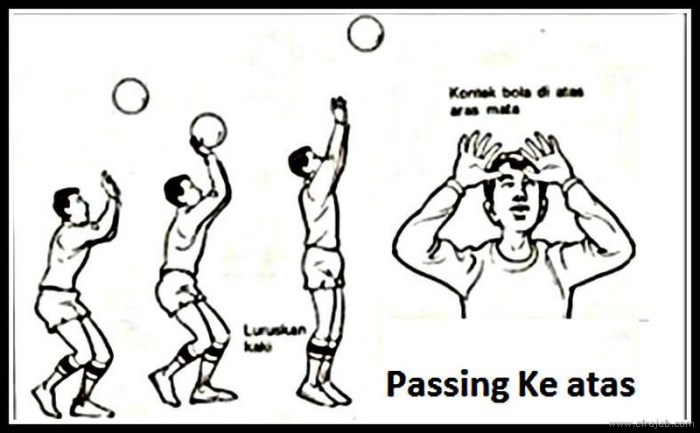 Posisi lengan yang benar saat melakukan passing bawah bolavoli adalah