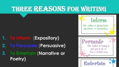 What is the writer's purpose to write the text