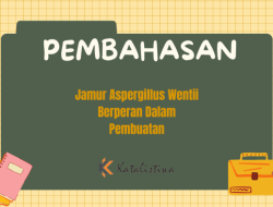 Jamur Aspergillus Wentii Peran Penting dalam Pembuatan Produk