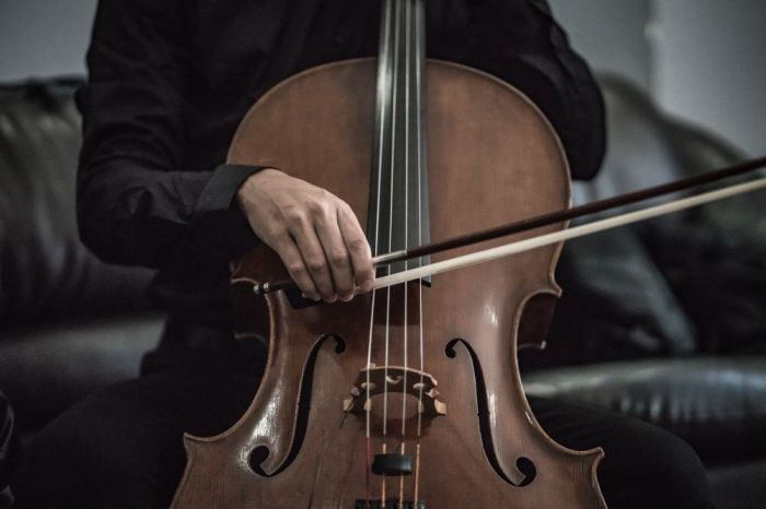 Contoh alat musik chordophone