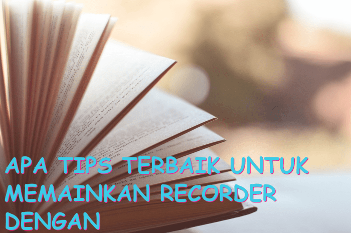 Recorder dimainkan dengan cara