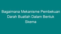 Skema pembekuan darah