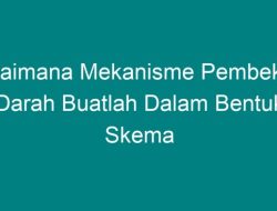Mengenal Skema Pembekuan Darah dan Gangguan Terkait