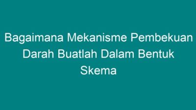 Skema pembekuan darah