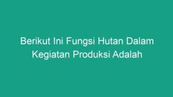 Fungsi Hutan Kecuali Aktivitas yang Bukan Peran Utama