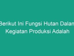 Fungsi Hutan Kecuali Aktivitas yang Bukan Peran Utama