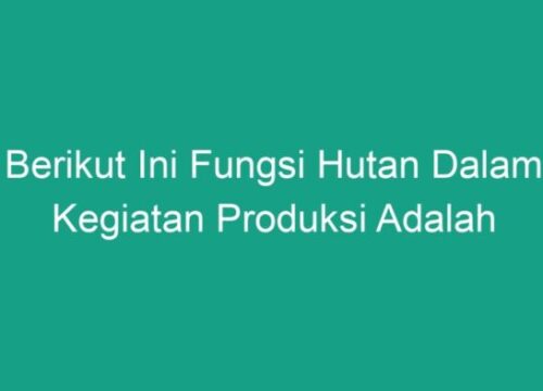 Fungsi Hutan Kecuali Aktivitas yang Bukan Peran Utama