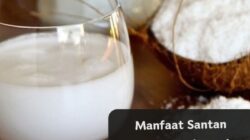 Salah Satu Manfaat Sifat Santun Adalah Membangun Hubungan Harmonis