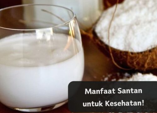 Salah Satu Manfaat Sifat Santun Adalah Membangun Hubungan Harmonis