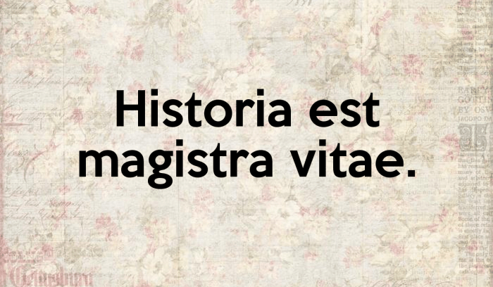 Historia magistra vitae mengandung arti