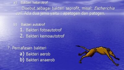 Dalam suatu ekosistem jamur dan bakteri bersifat saprofit berperan sebagai