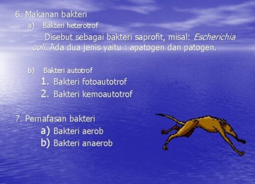 Peran Saprofit Jamur dan Bakteri dalam Ekosistem