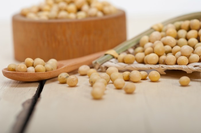 Kedelai kacang tanah dan kacang hijau merupakan tanaman pangan jenis
