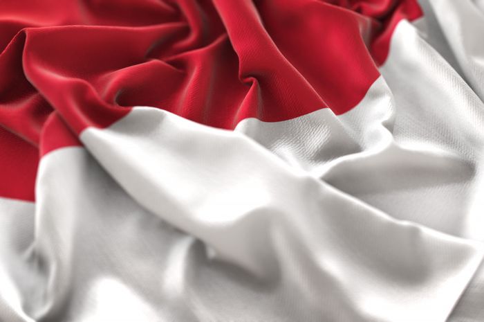 Salah satu keuntungan negara kesatuan adalah