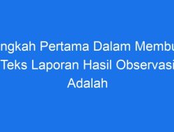 Memahami Tujuan Laporan Observasi Untuk Mendokumentasikan dan Menganalisis