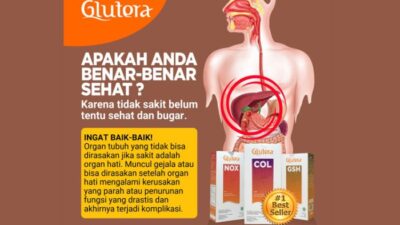 Fungsi Hati dalam Pencernaan Makanan Peran Kunci Tubuh