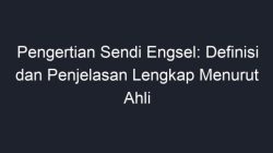 Memahami Sendi Engsel Struktur, Fungsi, dan Gangguan