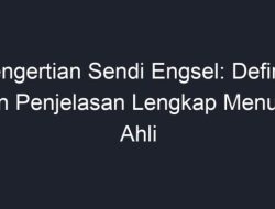 Memahami Sendi Engsel Struktur, Fungsi, dan Gangguan